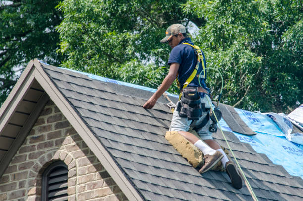 Best Storm Damage Roof Repair  in Plover, WI